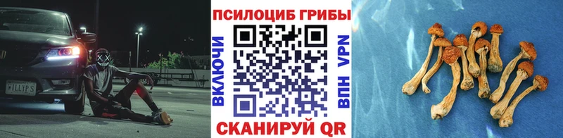 это наркотические препараты  как найти закладки  Чусовой  Галлюциногенные грибы мицелий 