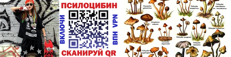 Галлюциногенные грибы MAGIC MUSHROOMS Чусовой